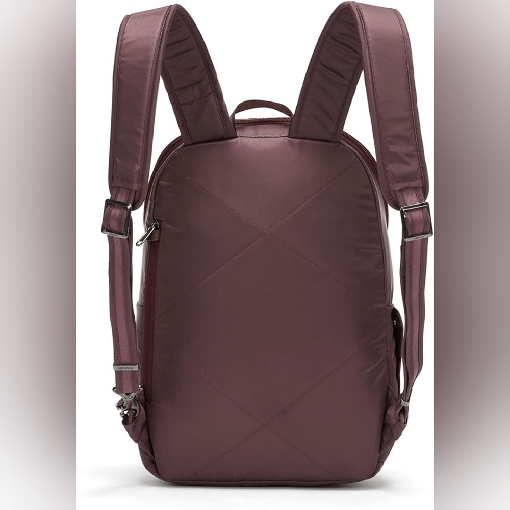 Pacsafe 12L Cruise Backpack - NWOT - Picture 3 of 8